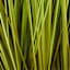 Found & Fable Green Grass Bundle with Cement Pot, 34"