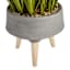 Found & Fable Green Grass Bundle with Cement Pot, 34"