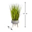 Found & Fable Green Grass Bundle with Cement Pot, 34"