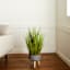 Found & Fable Green Grass Bundle with Cement Pot, 34"