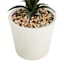 Yucca Tree with Cement Planter, 42"