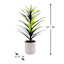 Yucca Tree with Cement Planter, 42"