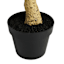 Potted Willow Tree, 3'