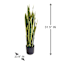 Potted Snake Plant, 3'