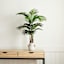 Found & Fable Faux Emerald Floor Greenery with White Ceramic Pot, 37"