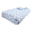 Providence 3-Piece Fern Trellis Matelasse Coverlet Set, Full/Queen