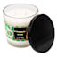 Watermelon Sugar Scented Jar Candle, 13.4oz