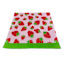 Oh Joy! Strawberry Beach Towel,  34x64