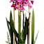 Pink Orchid Flowers with Wooden Planter, 47"
