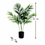 Potted Areca Plant, 3'