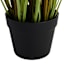 Potted Pampas Grass Bush, 45"