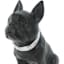 Crosby St. French Bulldog Outdoor Statue, 10"