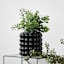Crosby St. Indoor Black Bubble Planter, 6"