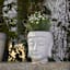 Found & Fable Indoor Buddha Cement Planter, 7"