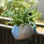 Indoor Fish Ceramic Planter, 8"