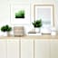 Found & Fable Indoor Studded Tan Planter, Small