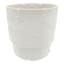 Providence Indoor Ceramic Dragonfly Planter, Small