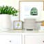 Found & Fable Indoor Studded White Planter, Medium
