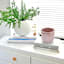 Oh Joy! Indoor Mila Pink Ribbed Iridescent Planter, 6"