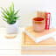 Oh Joy! Indoor Mila Orange Iridescent Ribbed Planter, 6"