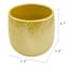 Oh Joy! Indoor Mila Yellow Ribbed Iridescent Planter, 6"