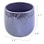 Oh Joy! Indoor Mila Purple Iridescent Ribbed Planter, 6"