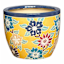 Indoor Amaryllis Planter, Small