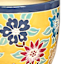 Indoor Amaryllis Planter, Small