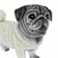 Pug Outdoor Garden Statue, 12"