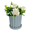 Indoor Blue Scallop Planter, 5"