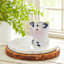 Indoor Mini Cow Planter, 3"