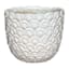 Indoor White Scalloped Planter, Small