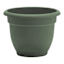 Ariana Basil Outdoor Planter, 6"