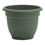 Ariana Basil Outdoor Planter, 8"