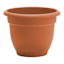 Ariana Terracotta Outdoor Planter, 6"
