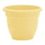 Ariana Daffodil Outdoor Planter, 8"