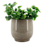 Round Grey Metal Outdoor Planter, Small