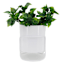 Sunny Club White Planter Stand, 8"