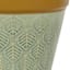 Indoor Sierra Green Planter with Saucer, 6"