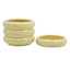 Sunny Club Indoor Yellow Ceramic Planter, Small