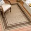 (E212) Santorini Cayden Natural Woven Indoor & Outdoor Area Rug, 5x7