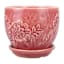Indoor Rose Flora Planter with Saucer, 4"