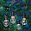 30-Count Clear D40 Edison String Lights with Black Commercial Wire