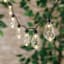100-Count LED Edison String Lights with Black Wire