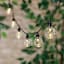 100-Count LED G40 Globe String Lights with Black Wire