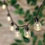 100-Count LED G30 Globe String Lights with Black Wire