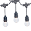30-Count Clear G40 Globe String Lights with Black Commercial Wire