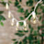 30-Count LED G40 Globe String Lights with White Wire