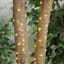 50-Count Solar LED Micro Dot Wire Lights