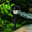 3-Lumen Solar Black Caged Pathway Light